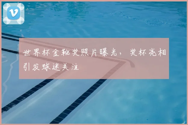 世界杯金靴奖照片曝光,奖杯亮相引发球迷关注