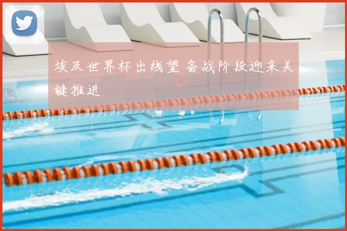 埃及世界杯出线望 备战阶段迎来关键推进