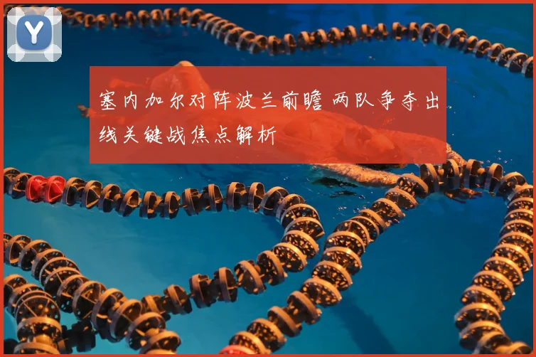 塞内加尔对阵波兰前瞻 两队争夺出线关键战焦点解析